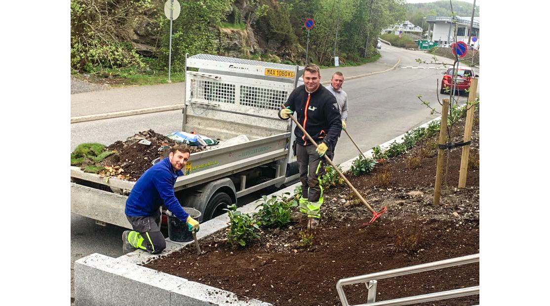 Anleggsgartner lærlinger har fagdag.