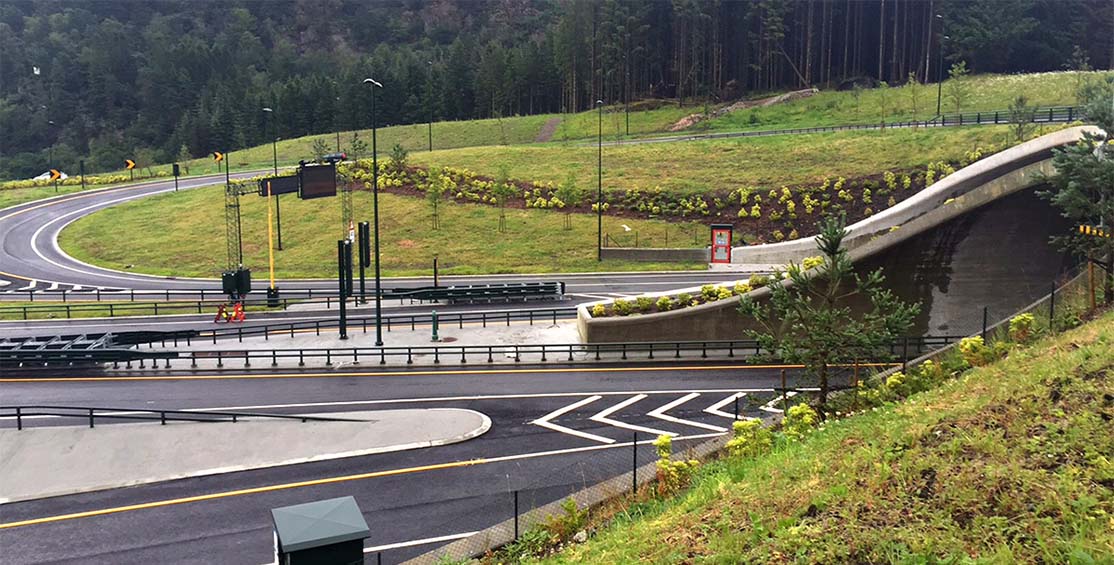 Ringvei vest anleggsgartner arbeid.