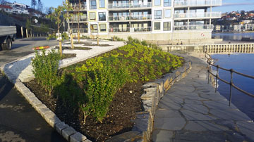 Oseana Kunst- & Kultursenter